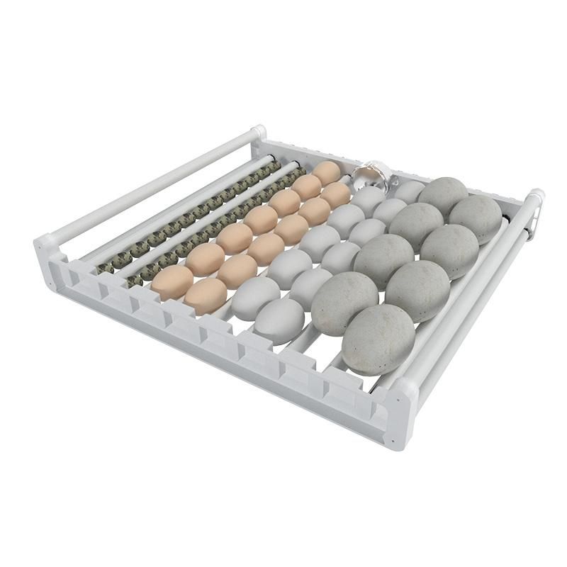 Hhd Full Automatic G54 Egg Incubator The Best Egg Incubator Price in Nepal