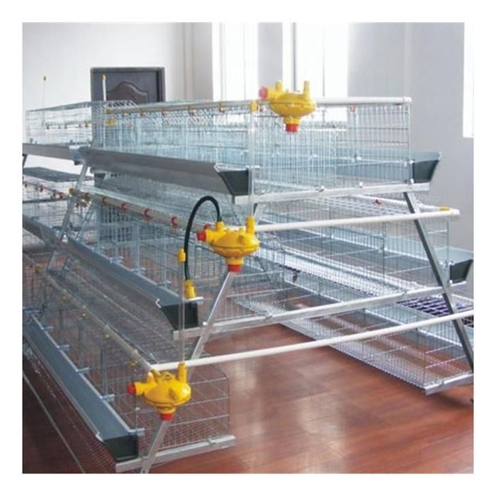 Farming Chicken Breeding Cage a Type 4 / 5 Layer Egg Chicken Battery Cages Chicken Cage for Sale