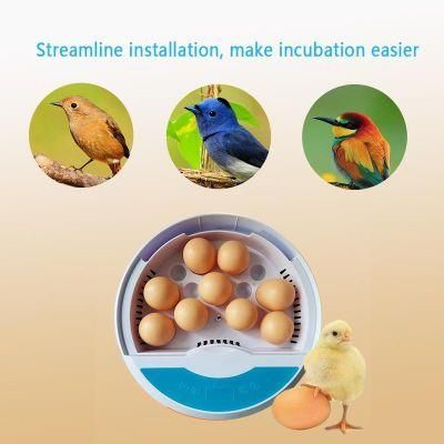 Solar Egg Incubators and Hatcher Macaw Eggs Hatchery Incubadora De Huevos