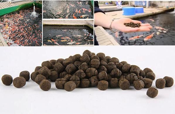 High Capacity Fish Feed Mill Machine Plant