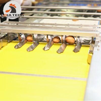 Egg Packing Machine with Capacity of 20000 Eggs Per Hour