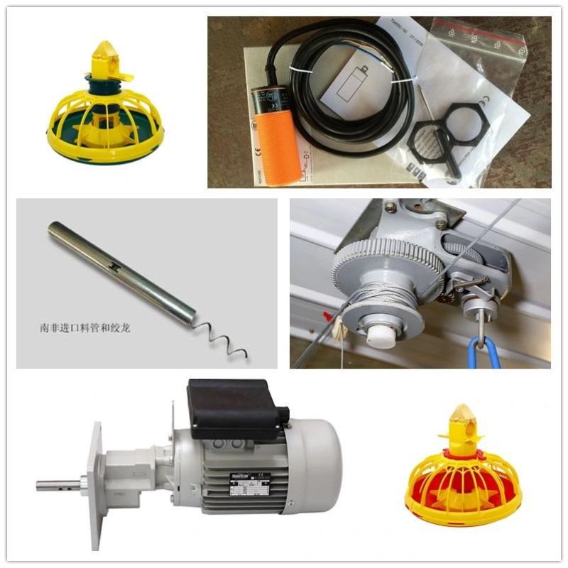Broiler Farming Equipment Automatic Poultry Feeding Line System for Broiler Farm