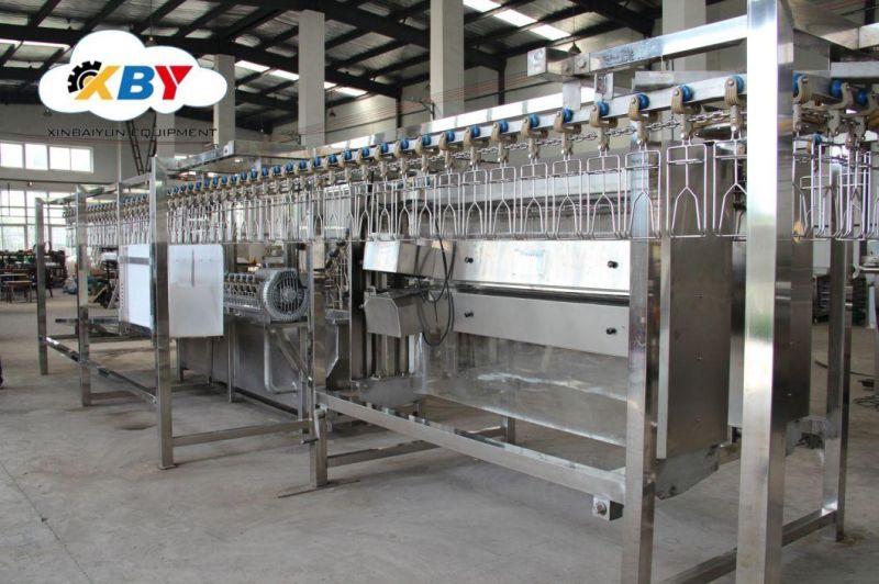 Compact Slaughtering Line for Poultry Processing. Best Quality with Lowest Price.