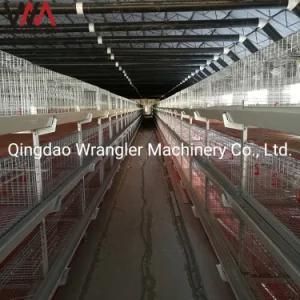 Poultry Farm Broiler Breeding Cages Laying Hens Equipment
