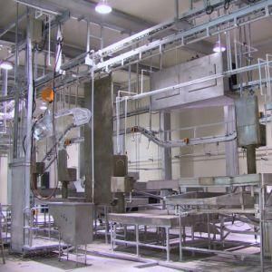 300/400 Heads Per Day Buffalo Meat Processing Line with Buffalo Abattoir Machine