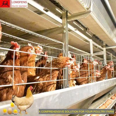 Longfeng H Type Highly Automatically Poultry Farming Equipment Layer/Egg/Hen Chicken Cage