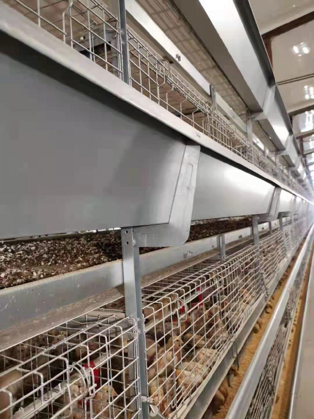 Complete Automatic Animal Cages Battery Broilers Rearing Chicken Cage System for Farming Poultry Supply