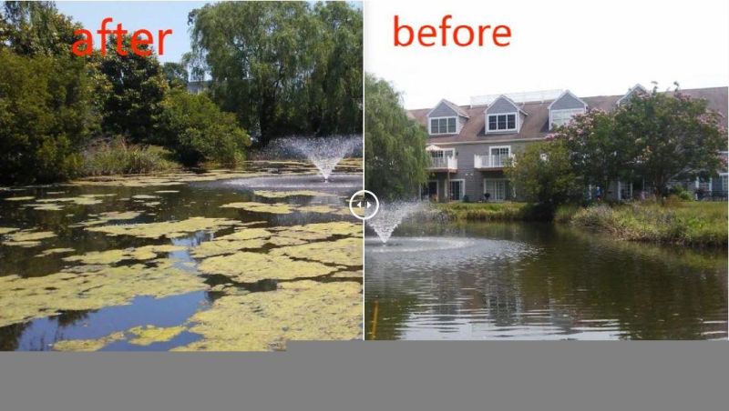 Aquatic Floating Weed Grass Plant Harvester Trash Skimmer Boat