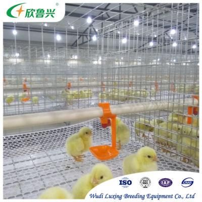 Made in China H Type Automatic Chicken Cage Design for Broiler Chicken Farm