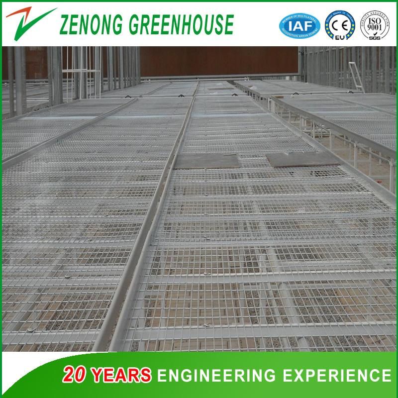 Seeding Nursery Equipment/Movable Bench Facility for Green House Seeding Cultivation