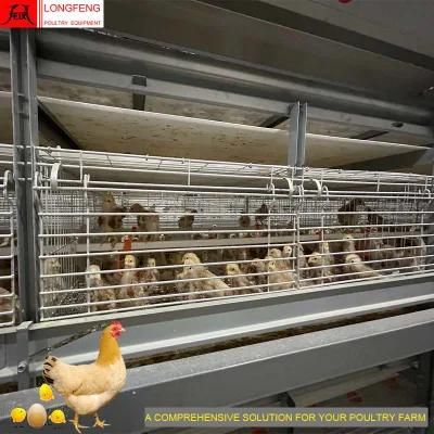 Dosing Medicine and Spray Disinfection Hot Galvanized Large Scale 288birds Poultry Farm Equipment with Good Price