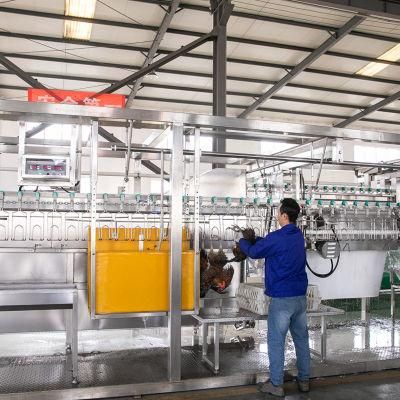 1000bph Compact Chicken Slaughter Machine Meat Processing Line