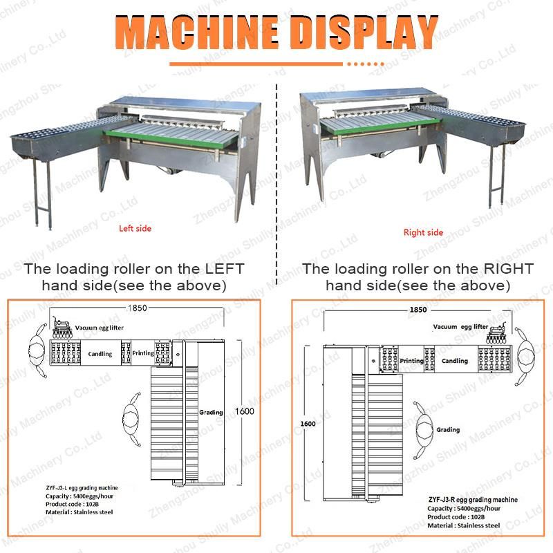 5400PCS Per Hour Egg Printing Machine Sorting Machine Grading Machine for Commercial Use