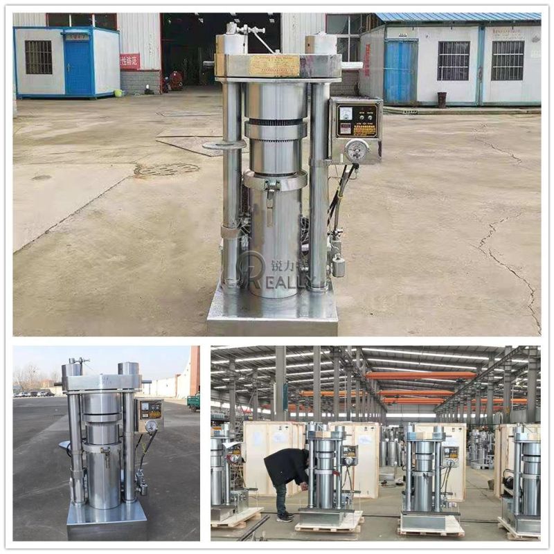 Oil Press Machine Automatic Oil Pressing Making Machine Nuts Seeds Automatic Hydraulic Cold Oil Extractor Sunflower Seeds Coconut Oil Expeller Extraction