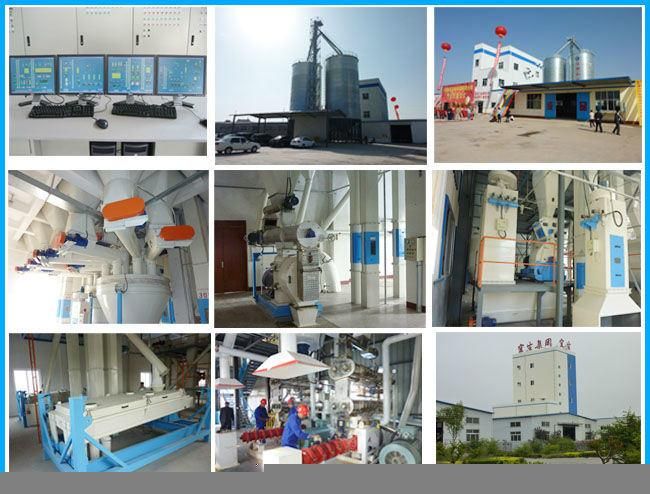 Livestock Feed Pelletizing Corn Silage Machinery for Sale