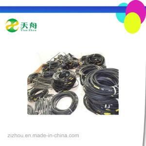 OEM Hot Selling Strong Durability Compressor V Belt/Driving Belt