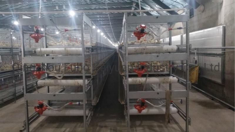 Battery Cage System in Poultry for Broiler/Chicken Layer/Egg Chicken