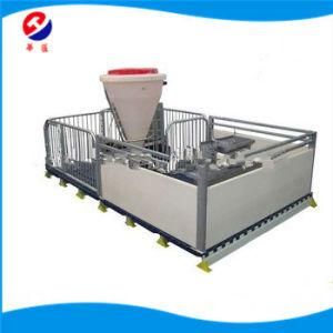 2019 Hot Sell Various Size Steel Plated and Tube Farrowing Crate Design for Pigs