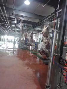 Chinese Manufacturer Best Price for Pneumatic Cow Ritual Slaughter Box Cattle Stunning Box