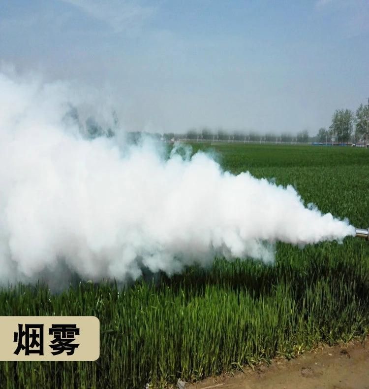 China Portable Outdoor Handheld Water Mist Fog Machine for Gardens Mist Disinfect