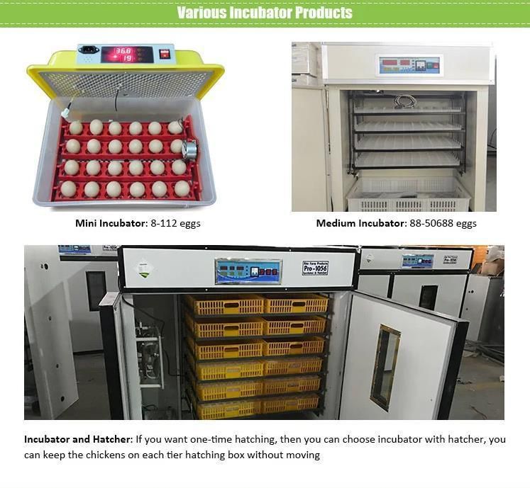 Professional Manufactured Automatic Incubator Poultry Capacity Eggs Incubator