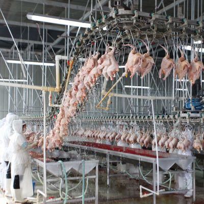 2000bph Halal Chicken Slaughtering Line Chicken Slaughter House Machine /Poultry Abattoir Machine