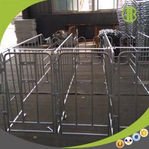 Competitive Price Quality Assurance Pig Steel Gestation Stall