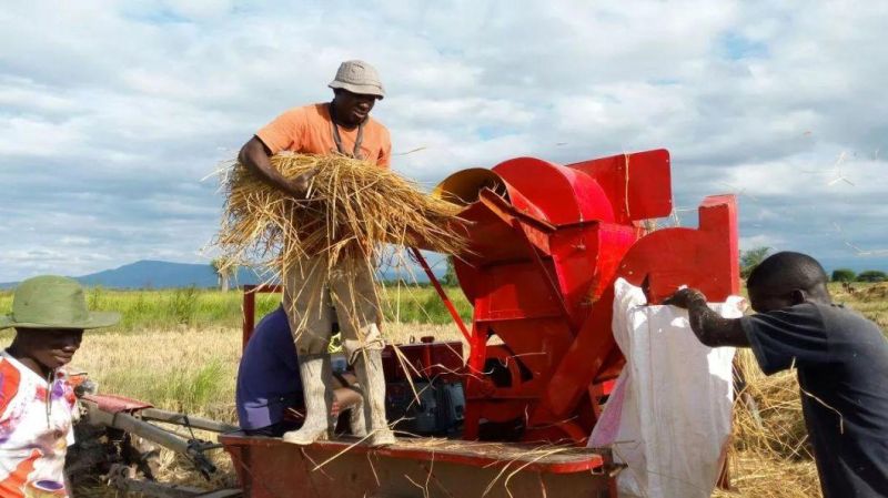 Top Quality Rice Thresher on Sale