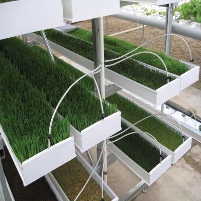 Wholesale Hydroponic Farm Grass Growing System Vertical Grass Fodder System