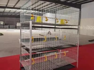 Poultry Farm Chicken Layer Cage Egg Layer Chicken Battery Cage Layer