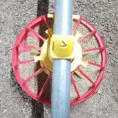 Haiti Broiler Chicken Deep Litter System