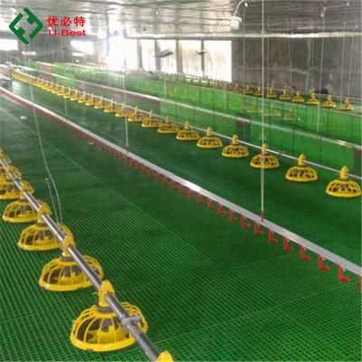 Steel Structure design Poultry Farm Shed with Chicken Broiler Equipment