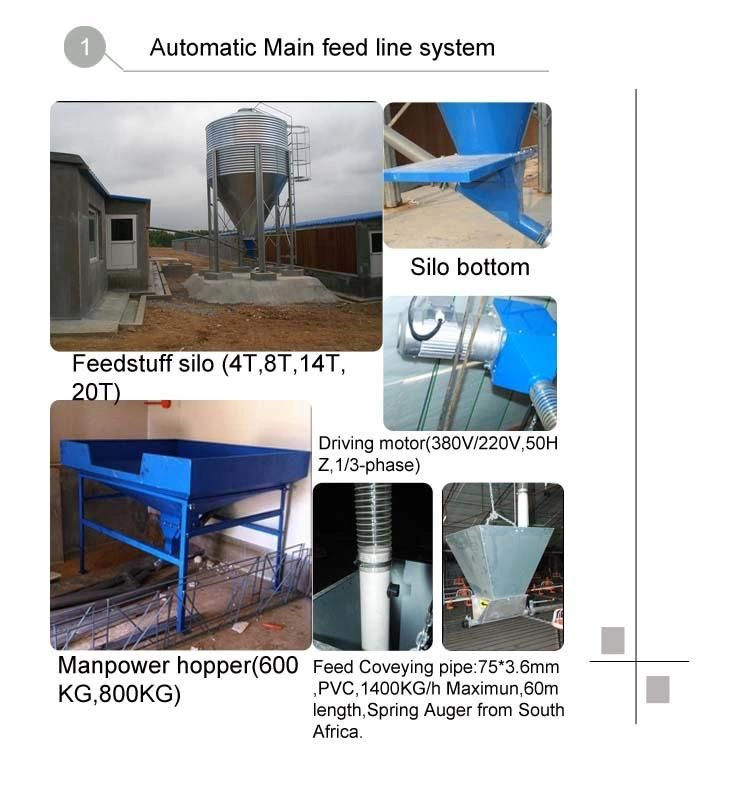 Automatic Chicken Poultry Farm Equipment for Breeder Broiler House