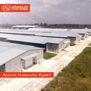 Complete Controlled Poultry Farm Equipment for Chicken House