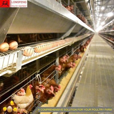 Longfeng Chicken Egg Poultry Farm Equipment Automatic Layer Chicken Cage