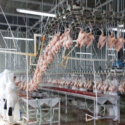 8000chicken Per Hour Slaughtering Equipment Slaughterhouse for Poultry