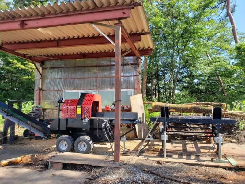 30ton Splitting Force Automatic Remote Firewood Processor/Splitter