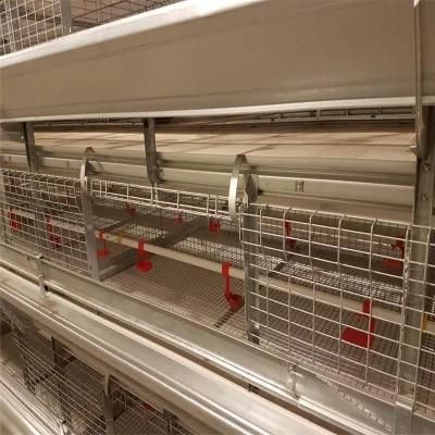 Quickly Assemble High Tech Easily Management Meat Chicken Poultry Coop