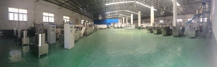 Dog Food and Fish Feed Production Line Manufacturer