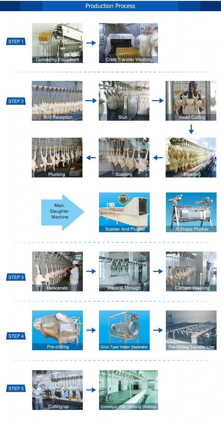 Poultry Butchery Equipment for Chicken Slaughtering Machine