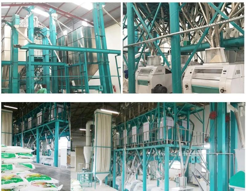 Zambia Malawi Mozambique Botswana Maize Flour Machine with Price