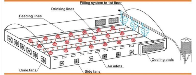 Good Price Fully Automatic Poultry Layer Hen Poultry Farm Equipment