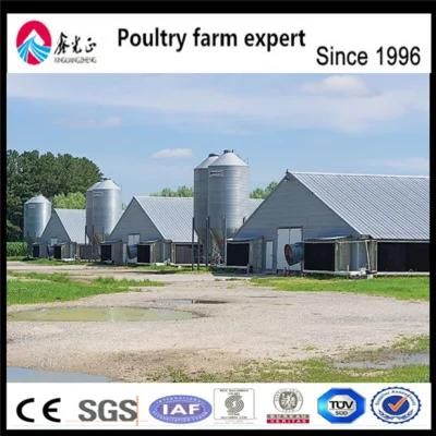 Commercial Chicken Broiler Poultry Farm House Design