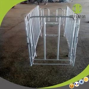 Modern Design Pig Farm Using Hot DIP Galvanized Gestation Stall Needs Agent
