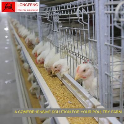 Good Service Layer Battery Broiler Chicken Cage for Poultry Farm