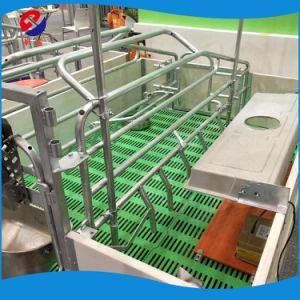 Huajiang Double Pig Farrowing Crate for Pig Farm Free Sample