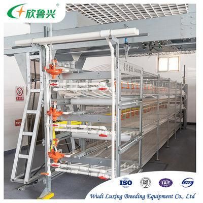H Type Layer Cage Poultry House Chicken Laying Hens a 3 Floors 120 Birds Chicken Layer Cages