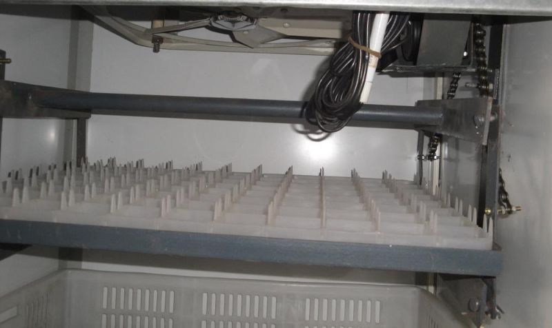 Hhd Automatic Goose Egg Incubator Hatchery Machine (YZITE-15)