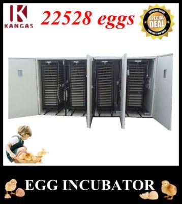 Best Selling Automatic Chicken Egg Incubator