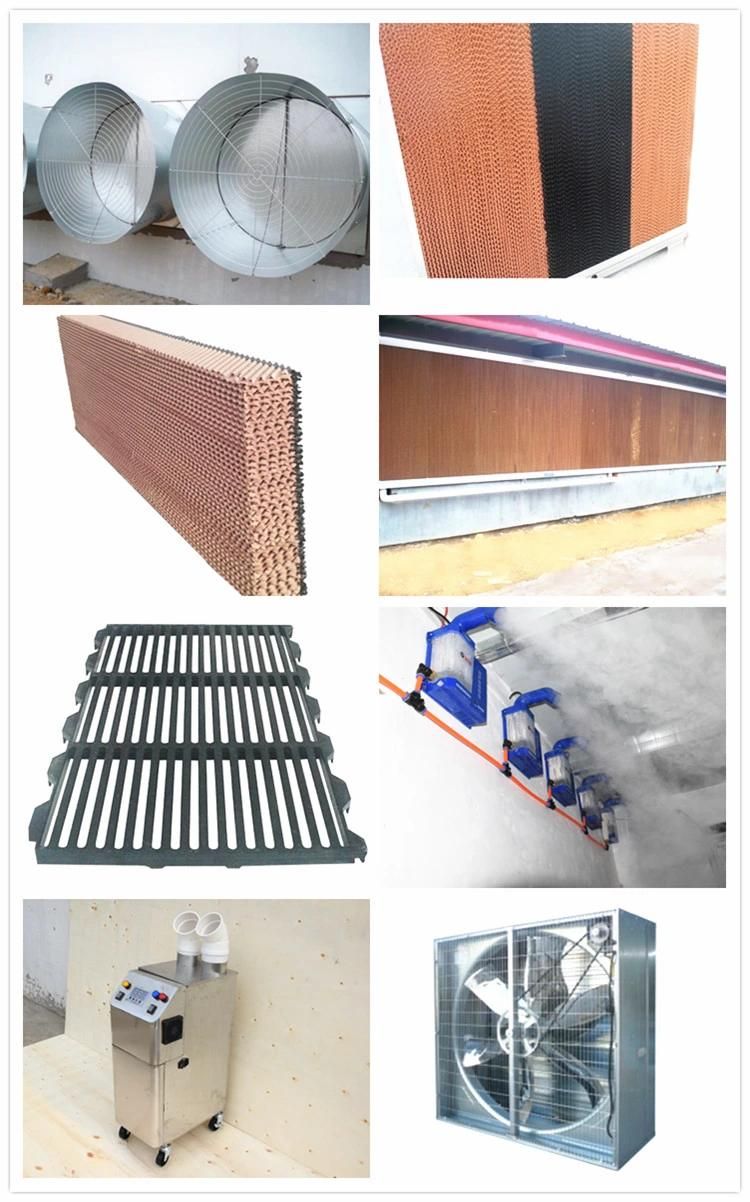 Pig Farm PP Material Plastic Slat Flooring for Sow